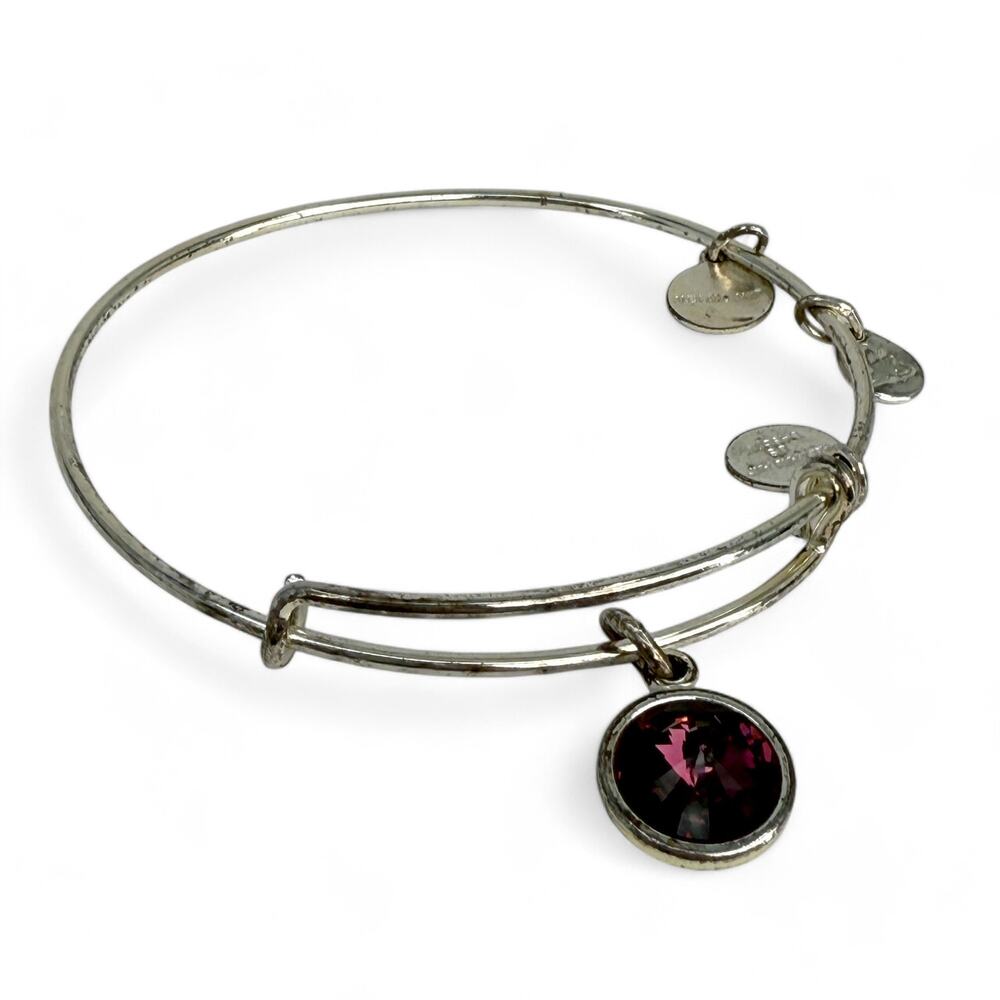 Alex and Ani Amethyst Purple Charm Bangle Bracelet February Birthstone